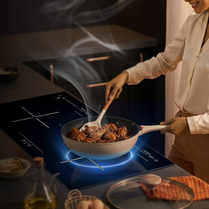 IS2000 - (Induction Stove)