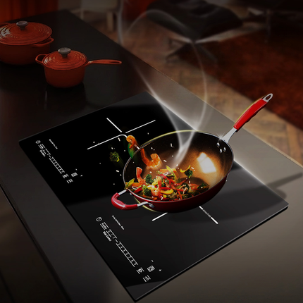IS2000 - (Induction Stove)