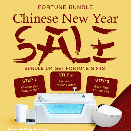 CHINESE  NEW YEAR (FORTUNE BUNDLE)