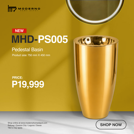 MHD-PS005 (Pedestal Basin)
